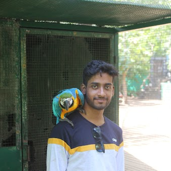 Team Member